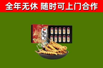 留坝回收冬虫夏草价格
